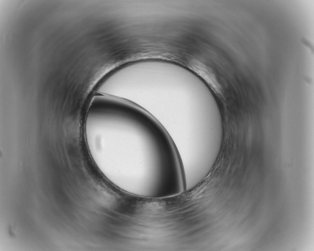 X0000096410156200801241033