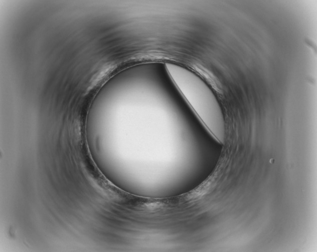 X0000096410158200801241033