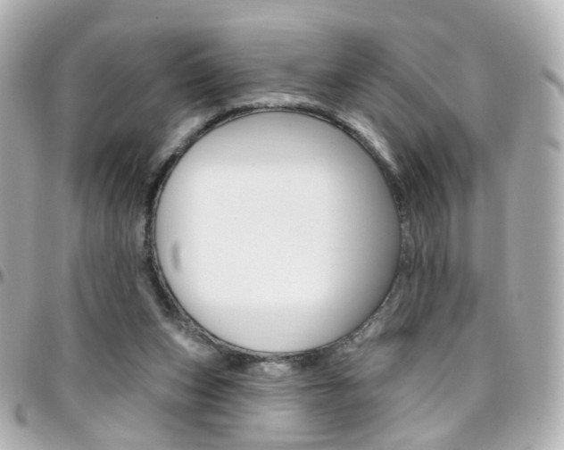 X0000096410159200801241033