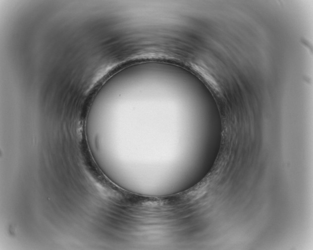 X0000096410160200801241033