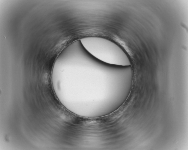 X0000096410161200801241033