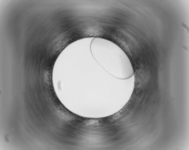 X0000096410162200801241033