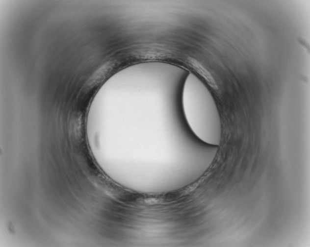 X0000096410163200801241033