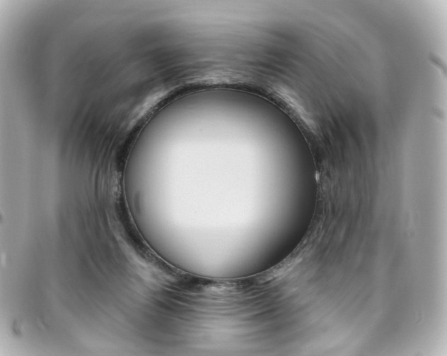 X0000096410164200801241033