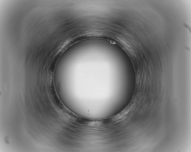 X0000096410168200801241033