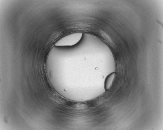X0000096410169200801241033