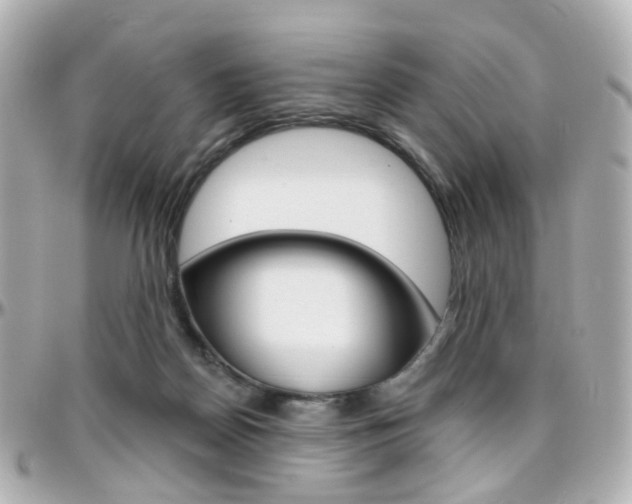 X0000096410170200801241033