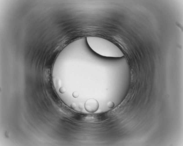 X0000096410171200801241033