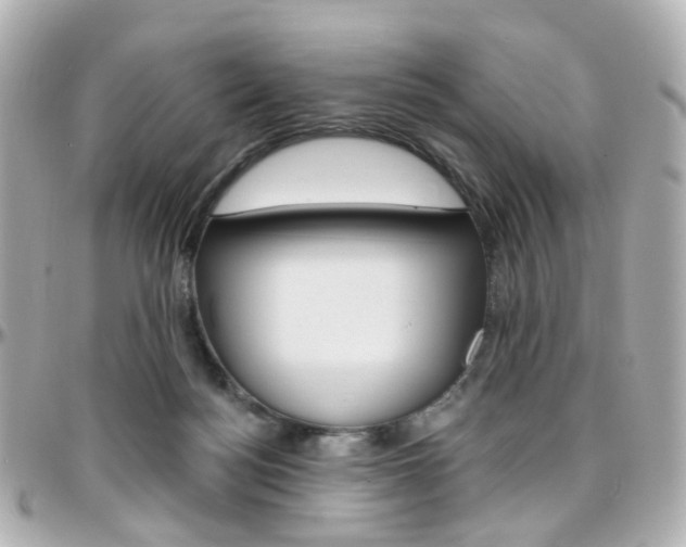 X0000096410172200801241033