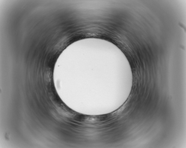 X0000096410174200801241033