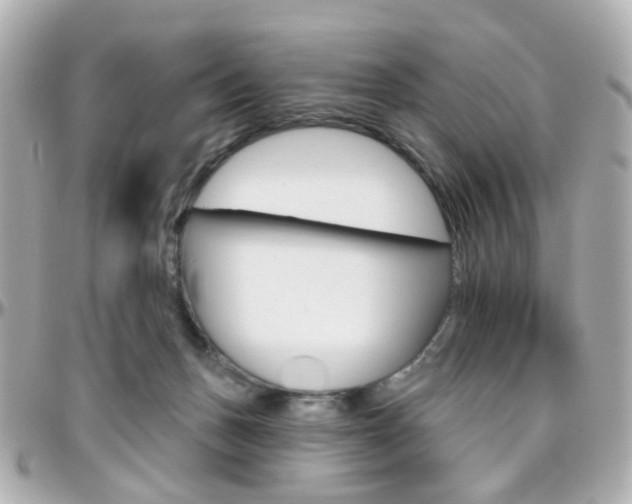 X0000096410175200801241033