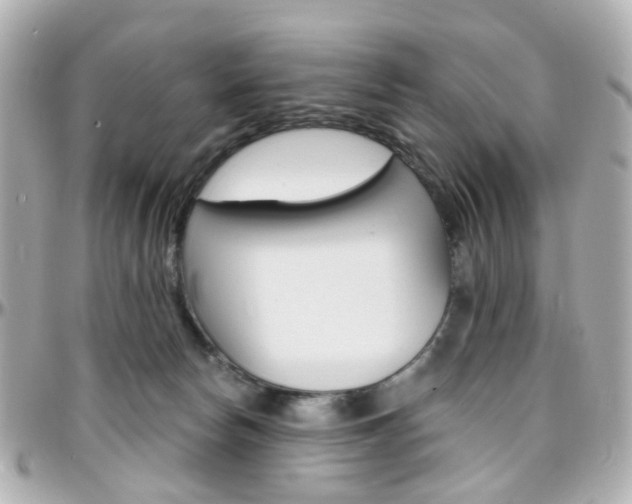 X0000096410178200801241033