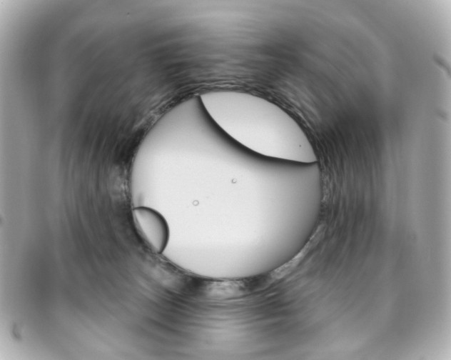 X0000096410179200801241033