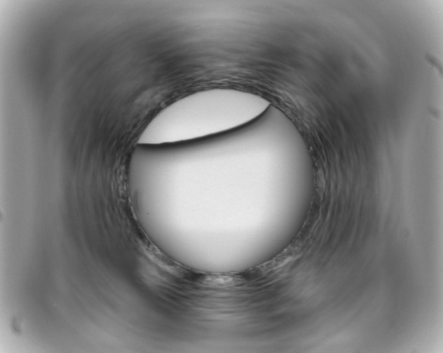 X0000096410181200801241033