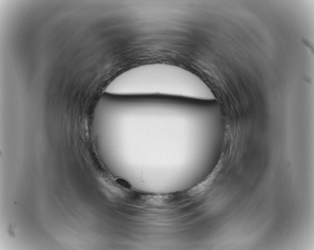 X0000096410182200801241033