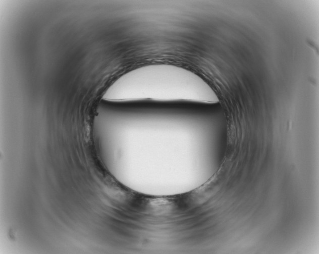 X0000096410183200801241033