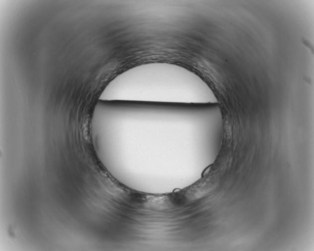 X0000096410185200801241033