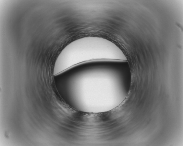 X0000096410186200801241033