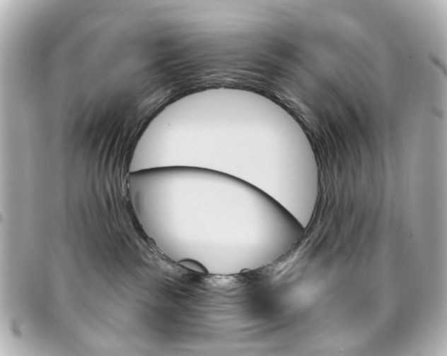 X0000096410189200801241033