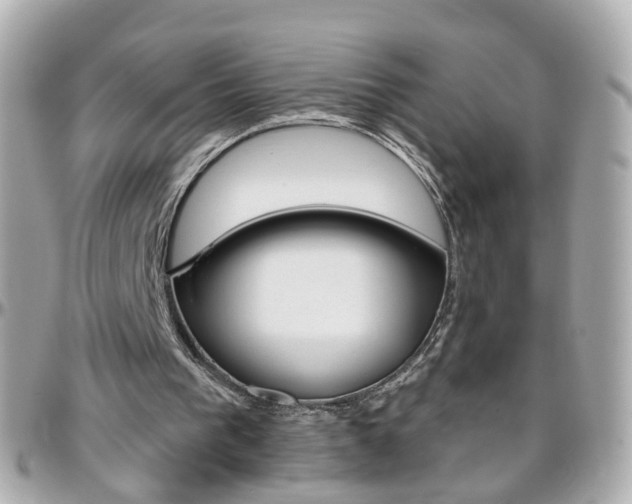 X0000096410193200801241032