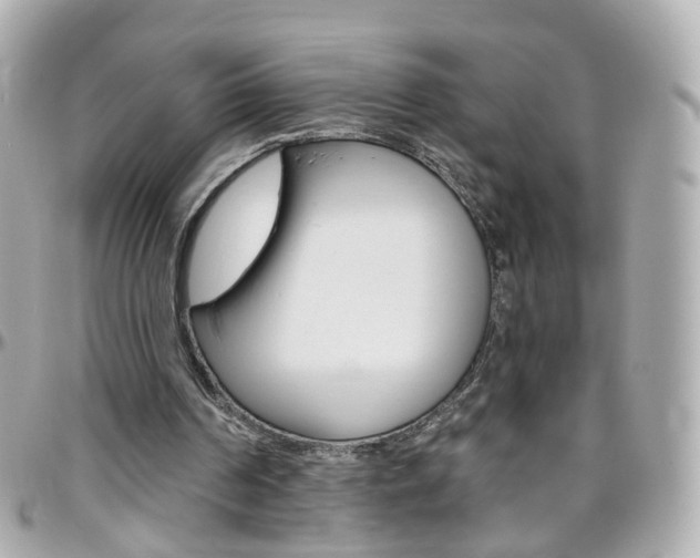 X0000096410194200801241032