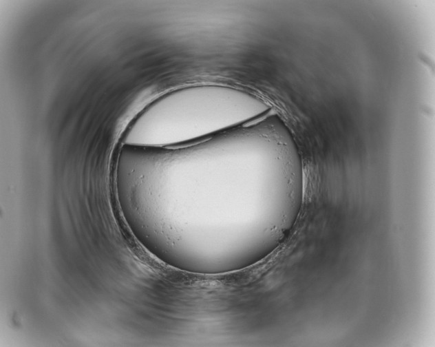 X0000096410195200801241032