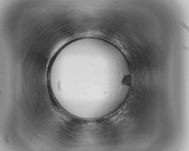 X0000096410196200801241032