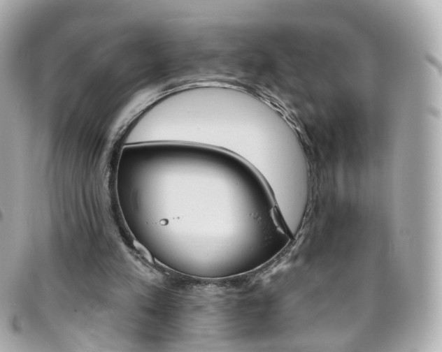 X0000096410197200801241032