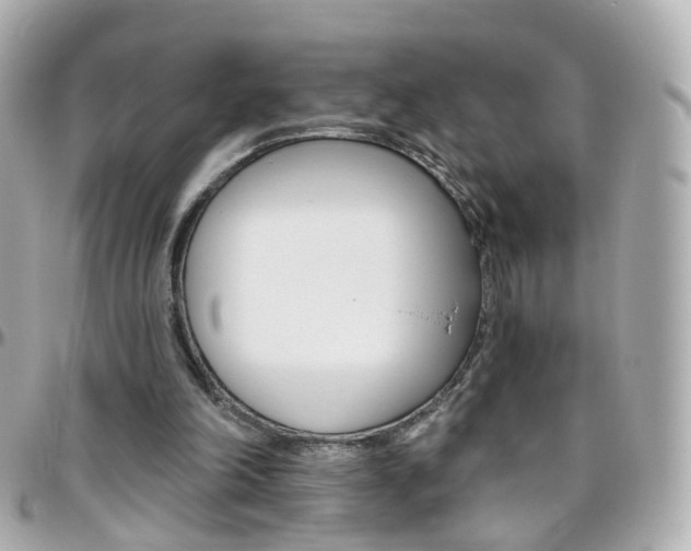 X0000096410198200801241032