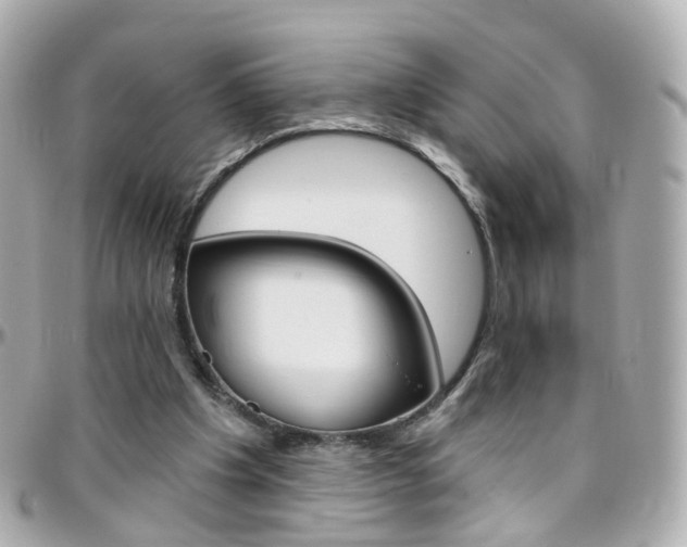 X0000096410201200801241032
