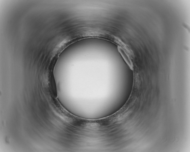 X0000096410203200801241032