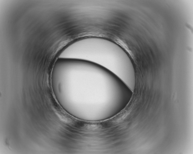 X0000096410205200801241032