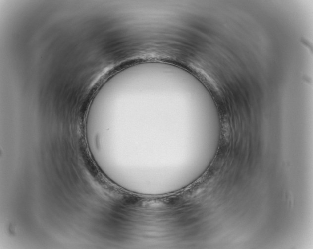 X0000096410208200801241032