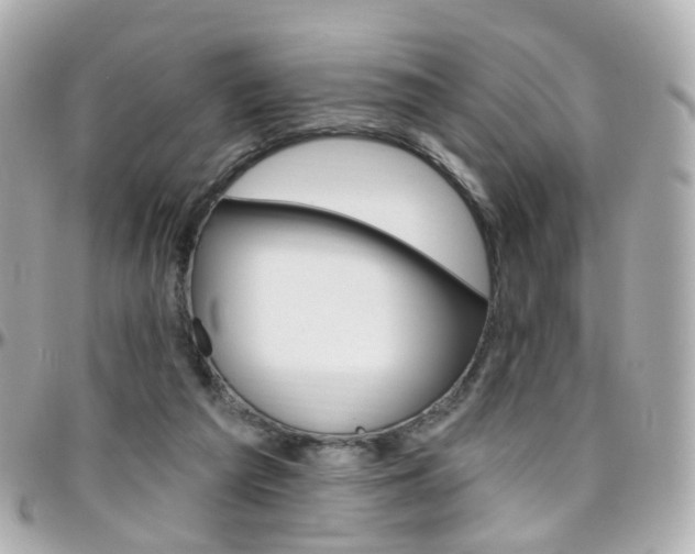X0000096410209200801241032