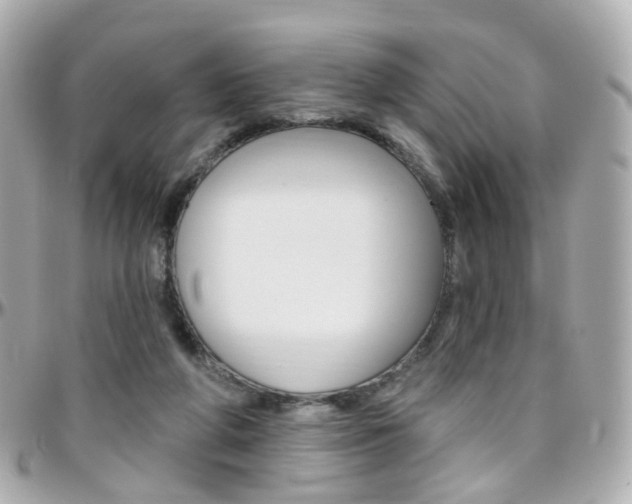 X0000096410210200801241032