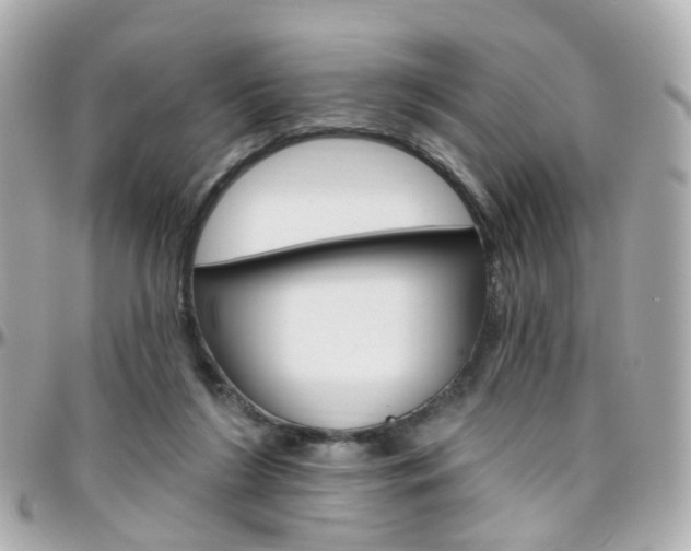 X0000096410212200801241032