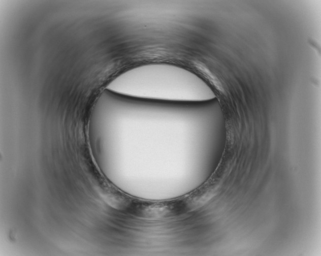 X0000096410213200801241032