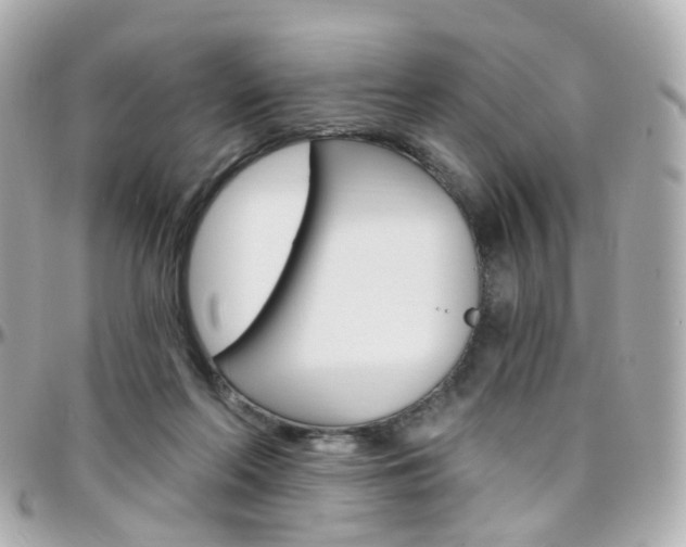 X0000096410214200801241032