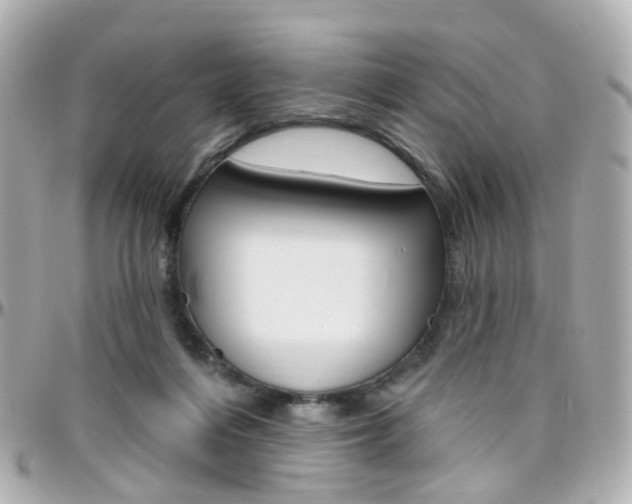 X0000096410216200801241032