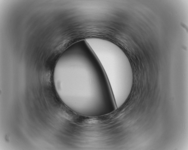 X0000096410219200801241032