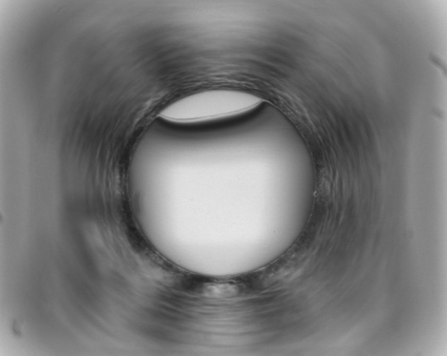 X0000096410220200801241032
