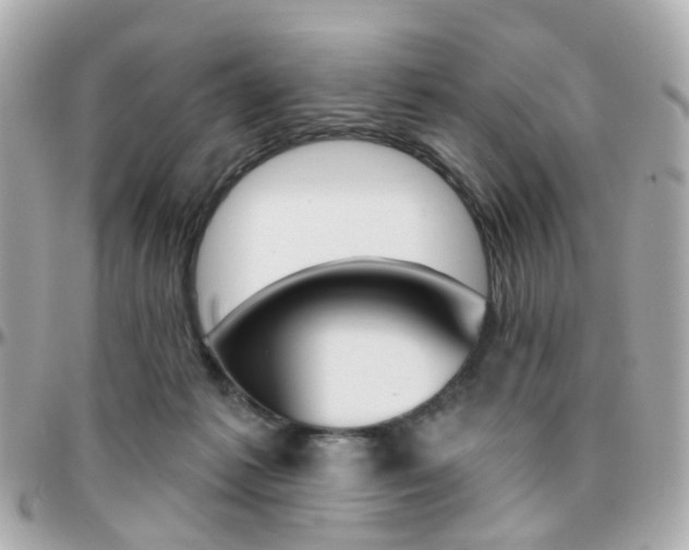 X0000096410221200801241032