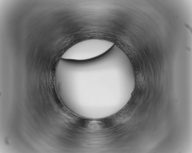 X0000096410222200801241032