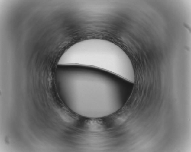 X0000096410223200801241032