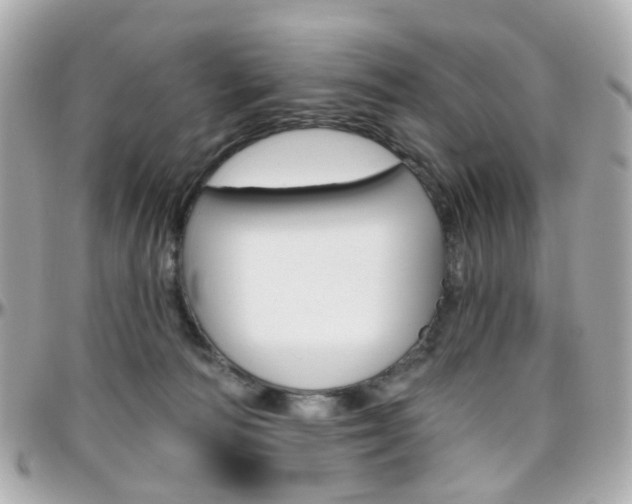 X0000096410226200801241032