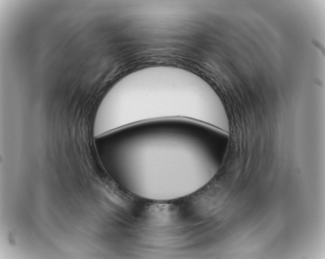 X0000096410227200801241032