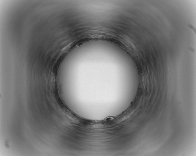 X0000096410228200801241032