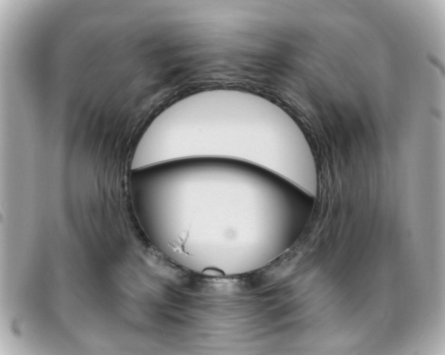 X0000096410233200801241032