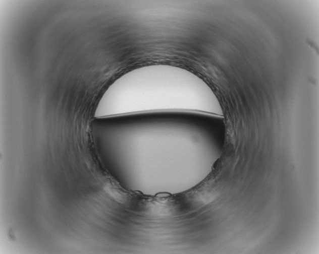 X0000096410235200801241032