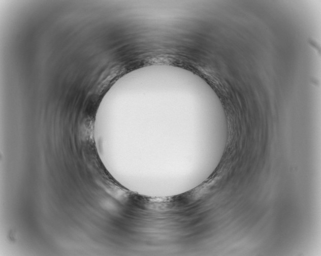 X0000096410240200801241032